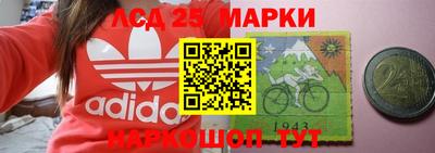 шишки Камышлов