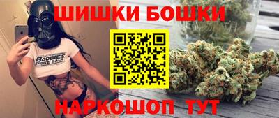 шишки Камышлов