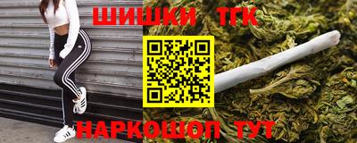 шишки Камышлов