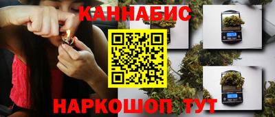 шишки Камышлов