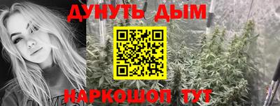 шишки Камышлов