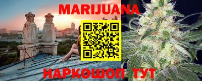шишки Камышлов
